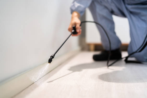 Licensed Pest Control service in Albion, IN - Show Me Pest Control