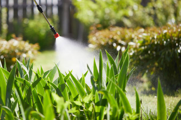24/7 Emergency Wasp Removal experts in Albion, IN
