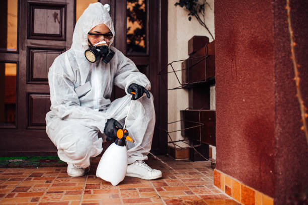 Reliable Wasp Removal contractor in Albion, IN by Show Me Pest Control